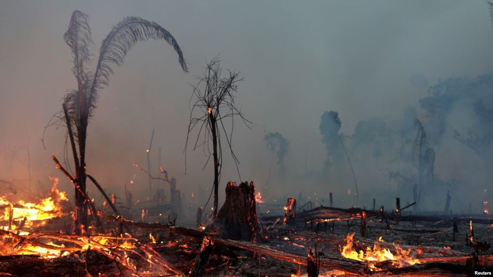 Một khu rừng Amazon bị cháy vào ngày 2.9 vừa qua. Ảnh: Reuters