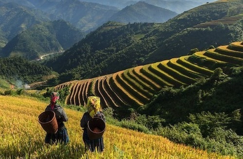 Mountainous Sapa has become one of Vietnam's hottest tourist destinations. In this former French-colonial hill station, it's easy to fall in love with the temperate highland climate, misty green tea terraces, waterfalls and hiking trails. Photo: internet