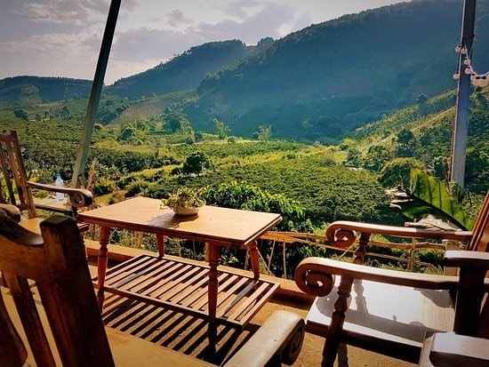 As the second largest coffee producer in the world -- right behind Brazil -- Vietnam also dedicates some of its highland territory to coffee plantations. Photo: tripadvisor