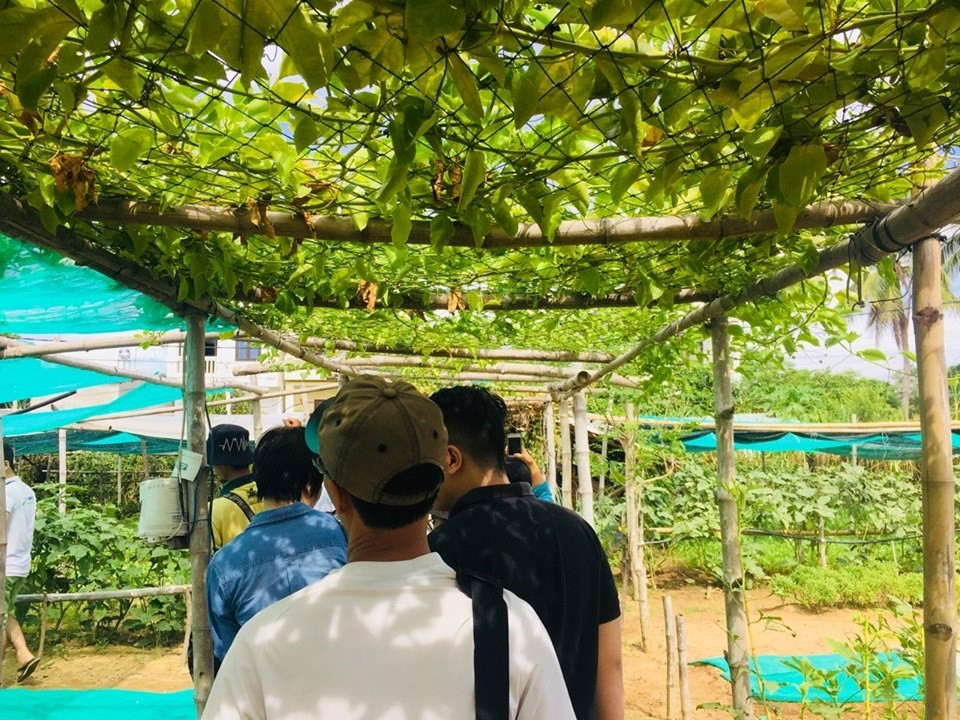 Visitors to Thanh Dong organic farm. Photo: cand.com.vn