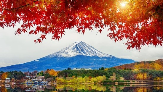 Núi Phú Sĩ - mùa lá đỏ.