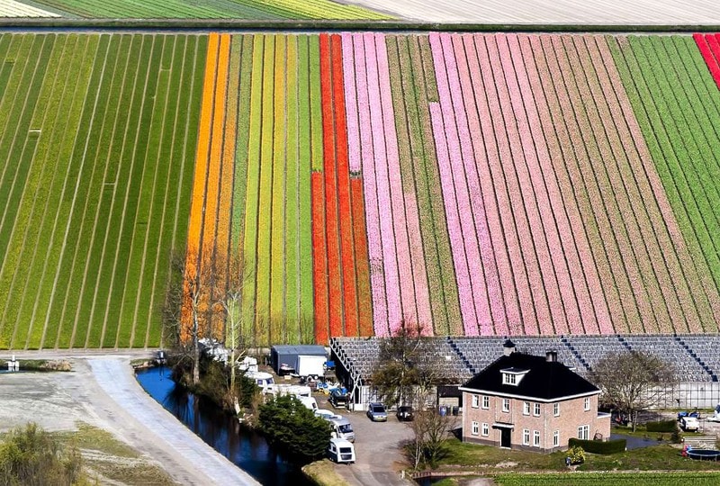 Vườn hoa Keukenhof, Hà Lan: Khu vườn tuyệt đẹp này có những loài hoa tulip hiếm nhất thế giới và mở cửa với du khách từ tháng 3 - tháng 5.