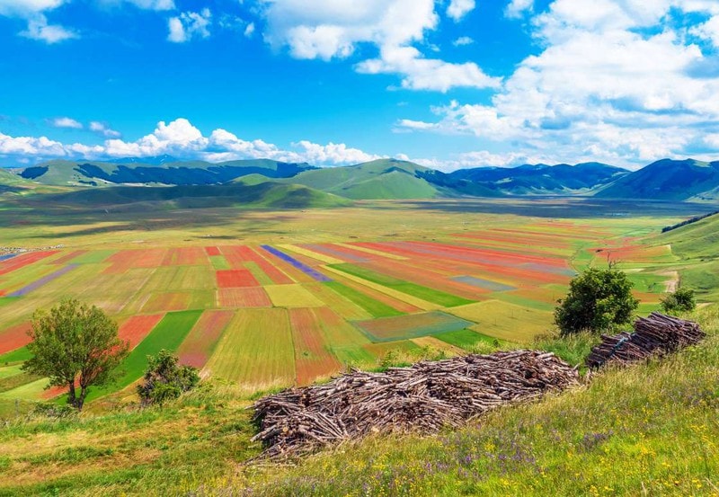 Cánh đồng hoa Castelluccio, Italy: Những loài hoa ở Castelluccio nở rộ nhất vào tháng 6 hàng năm.