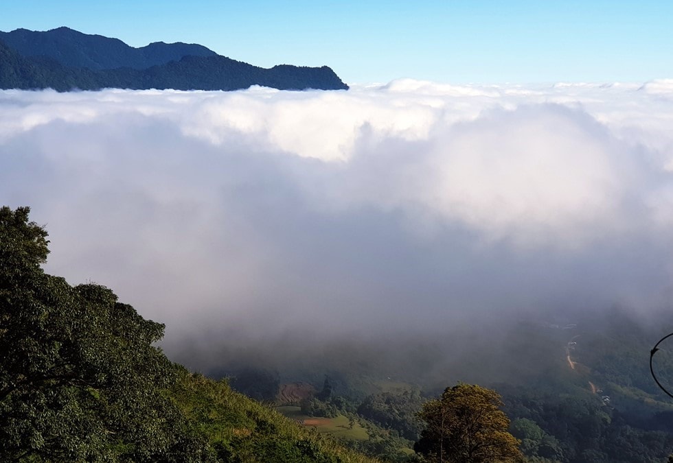 Ngoc Linh is a beautiful and mysterious mountain connecting Quang Nam and Kon Tum provinces where the rare and precious Ngoc Linh ginseng grows.