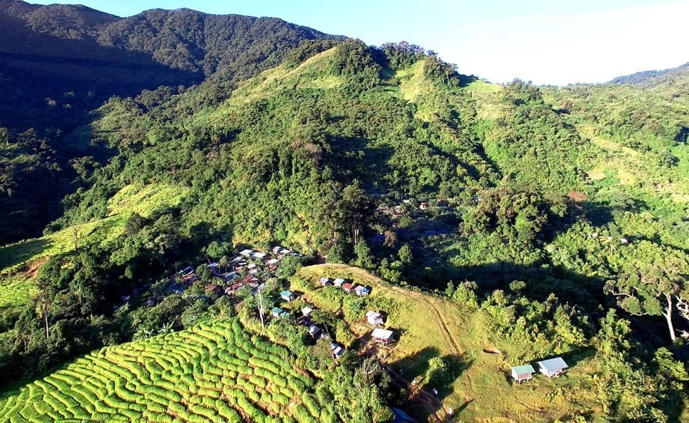 Ngoc Linh mountain is more than 10 km from the center of Nam Tra My district. To explore this mountain, visitors must walk and climb steep slopes.