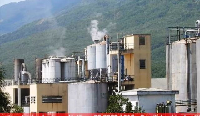 Nhà máy cồn Đại Tân bị sự cố về môi trường. Ảnh: T.N