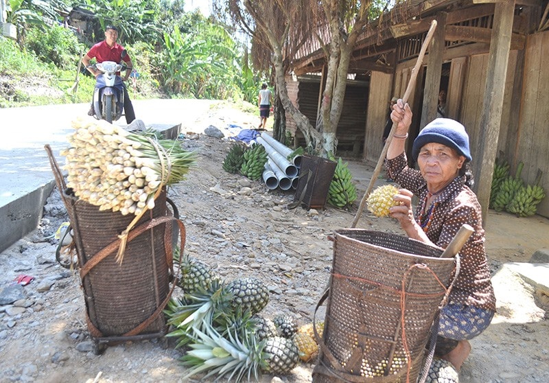 Phát triển kinh tế, mang lại thu nhập ổn định cho đồng bào là mục tiêu mà huyện Đông Giang hướng đến trong xây dựng NTM. Ảnh: C.T