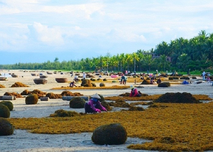 Locals’ daily activities (tour.dulichvietnam)