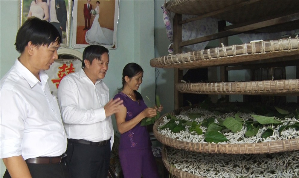 Ông Lê Thái Vũ - Chủ tịch HĐQT Công ty CP Tơ lụa Quảng Nam (giữa) đánh giá cao những nỗ lực gìn giữ nghề trồng dâu nuôi tắm của người dân thôn Đại Bình. Ảnh: THÔNG VINH