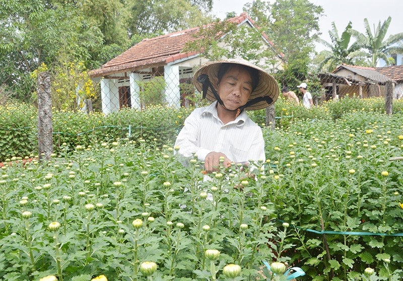 Võ Như Trọng khởi nghiệp từ niềm đam mê hoa kiểng. Ảnh: N.TRANG