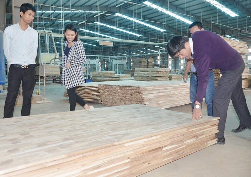 Việc truy xuất nguồn gốc gỗ hợp pháp giúp nhiều doanh nghiệp chế biến gỗ mở rộng thị trường. Ảnh: H.P