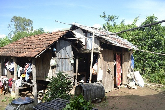 Căn nhà tạm bợ gia đình anh Nguyễn Văn Cường sinh sống suốt nhiều năm qua. Ảnh: C.T