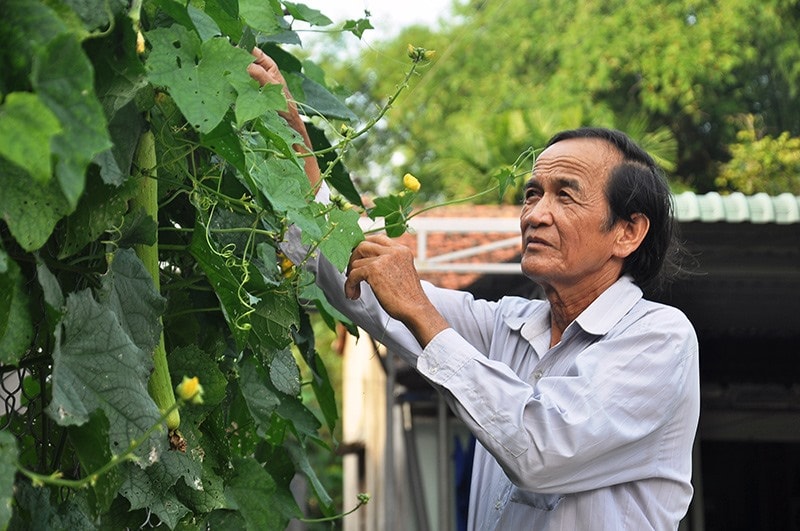 Cựu chiến binh Nguyễn Thơm. Ảnh: VINH ANH