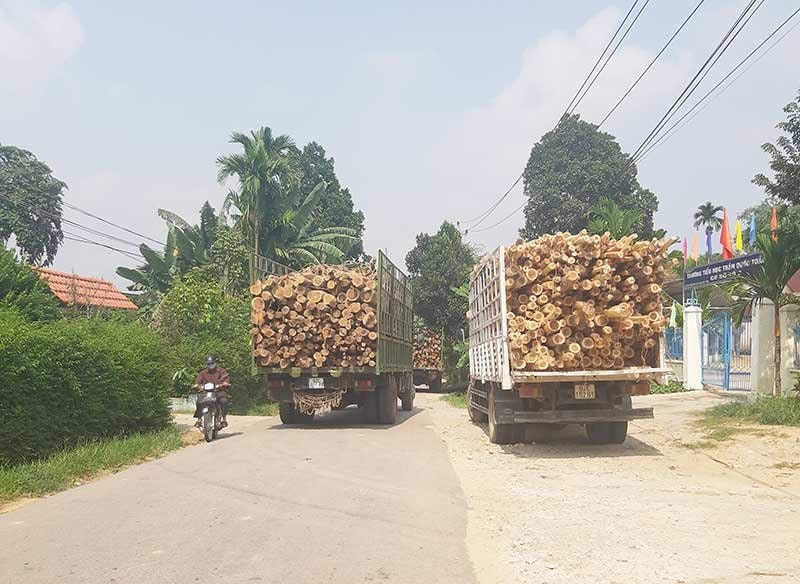 Xe chở keo trọng tải lớn chạy liên tục trên quốc lộ 40B gây ách tắc giao thông, làm hư hỏng đường sá. Ảnh: THANH THẮNG