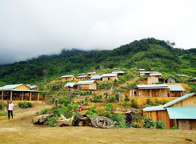 Hàng chục khu định cư mới được sắp xếp, ổn định cuộc sống cho đồng bào miền núi huyện Nam Trà My. Ảnh: NGƯỚC CÔNG