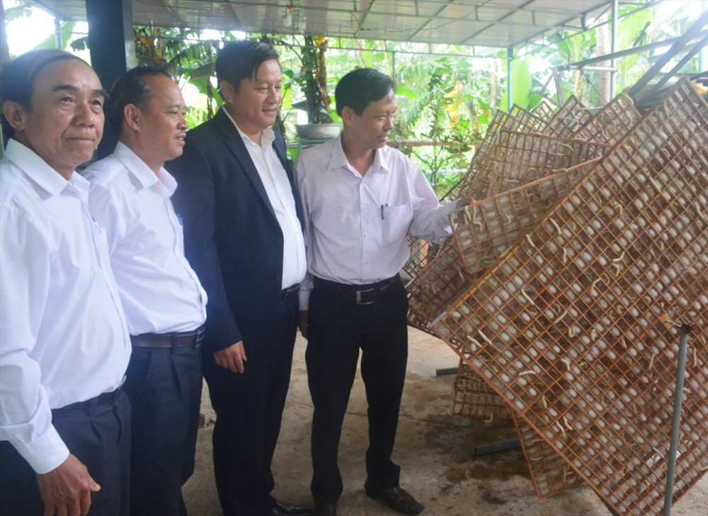 Đại biểu tham quan mô hình nuôi tằm của hộ dân ở thôn Bến Đền Tây, xã Điện Quang. Ảnh: Q.T