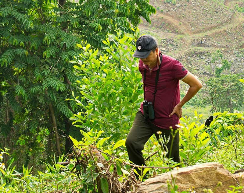 Ông Phan Minh Huấn - cán bộ phụ trách Trạm kiểm lâm Núi Thành đi kiểm tra rừng ở khu vực Hòn Dồ. Ảnh: N.Đ.N