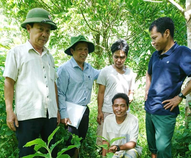 Quỹ Bảo vệ - phát triển rừng tỉnh kiểm tra cây giống lâm nghiệp tại xã Lăng (Tây Giang). Ảnh: TR.HỮU