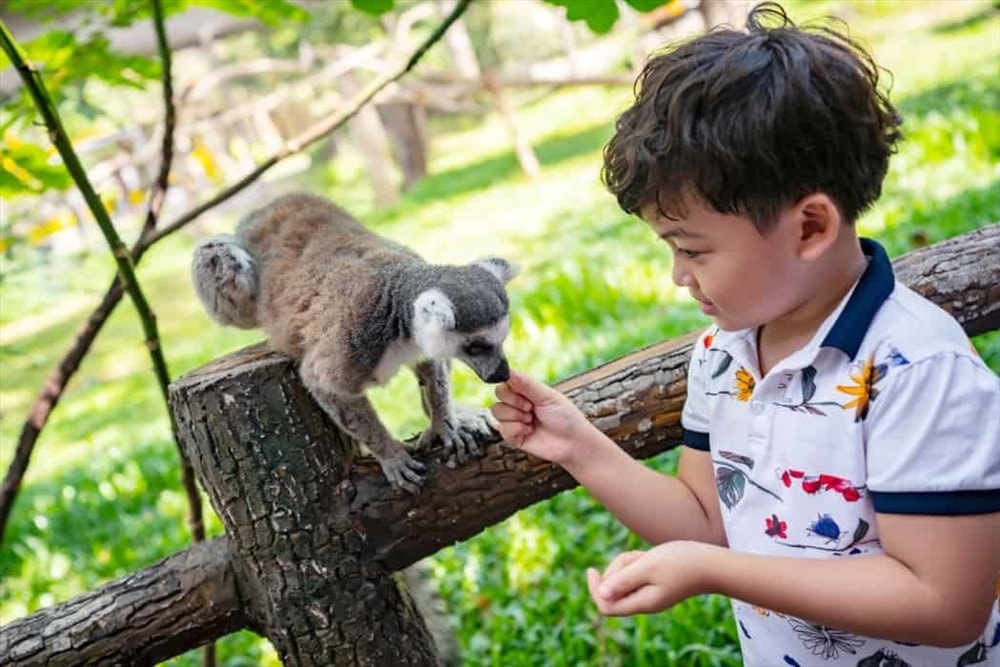 Du khách ngoài được chiêm ngưỡng các loài động vật hoang dã còn được giáo dục về ý thức chăm sóc và bảo tồn chúng.