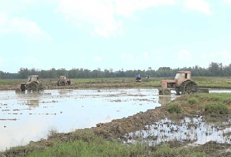 Bắt đầu từ vụ đông xuân 2019, Bình Nam tiếp tục thực hiện tích tụ tập trung ruộng đất tại cánh đồng 20ha thuộc tổ 3 và 4, thôn Thái Đông. Ảnh: S.T