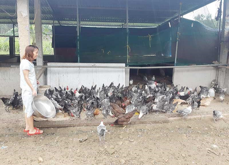 Người dân xã Trà Giang đã tiếp cận với kỹ thuật chăn nuôi an toàn sinh học. Ảnh: H.LIÊN