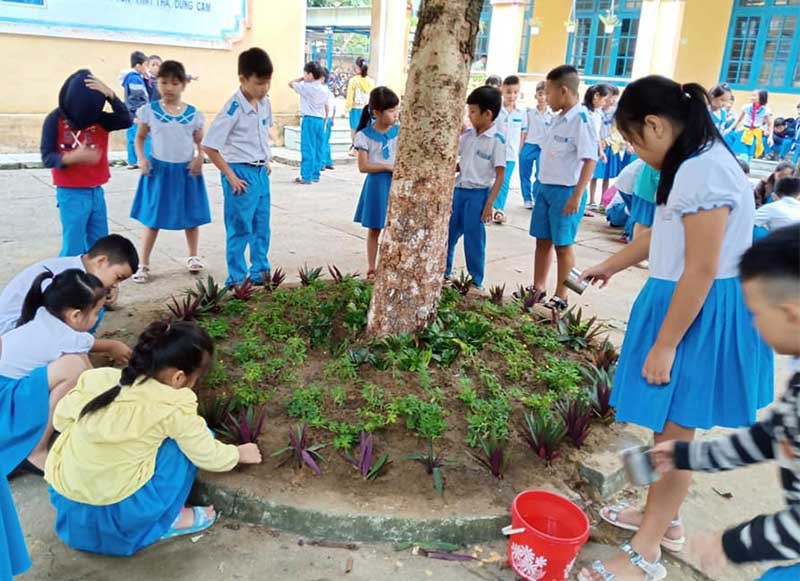 Học sinh trồng và chăm sóc hoa trong trường học. Ảnh: C.N