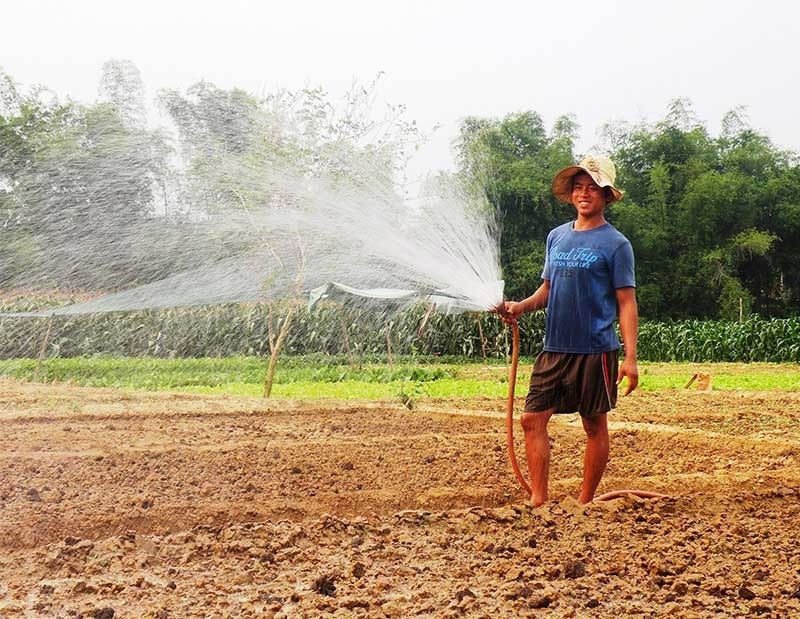 Nhờ chú trọng thủy lợi hóa đất màu, người dân xã Điện Minh (Điện Bàn) rất thuận lợi trong việc sản xuất các loại cây trồng cạn theo phương thức hàng hóa tập trung. Ảnh: T.R