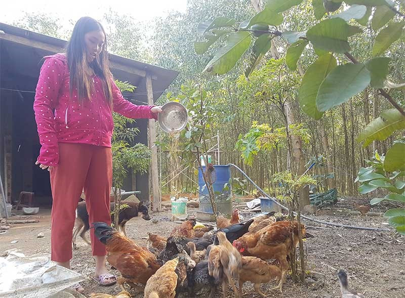 Hộ chị Lê Thị Hồng Trang đã thoát nghèo trong năm 2019 nhờ trợ sức từ các nguồn lực. Ảnh: D.L