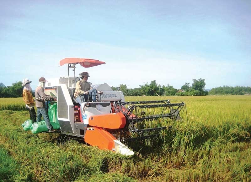 Quá trình tích tụ, tập trung đất đai diễn ra chậm, đất đai manh mún đang là yếu tố kéo giảm quá trình chuyển dịch nông nghiệp sang sản xuất hàng hóa, giảm hiệu quả sử dụng đất, năng suất lao động. Ảnh: V.SỰ