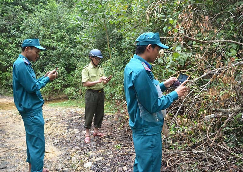 Nhóm hộ bảo vệ rừng của đồng bào Cơ Tu gần như sử dụng thành thạo phần mềm công nghệ bảo vệ rừng. Ảnh: T.H