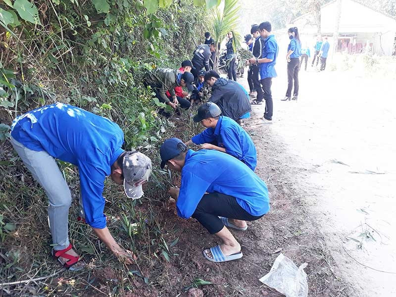 Đoàn viên thanh niên nhiệt tình tham gia các đợt ra quân trồng cây xanh, xây dựng cảnh quan xanh - sạch - đẹp.