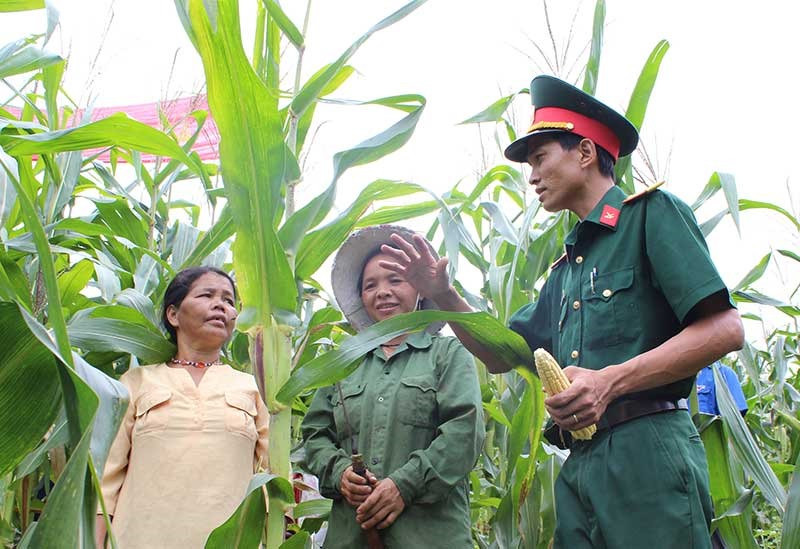 Bộ đội tập huấn kỹ thuật nông nghiệp cho người dân vùng cao.