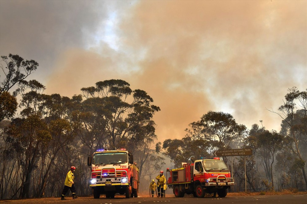Australia đang nỗ lực dập tắt các đám cháy rừng hoành hành nhiều ngày qua. Ảnh: entornointeligente
