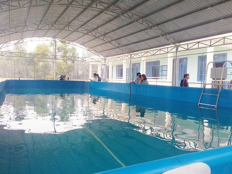 Hồ bơi lắp ghép tại Trường TH Đoàn Bường, xã Bình Triều. Anh: BIÊN THỰC