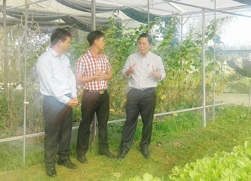 Chủ tịch UBND tỉnh Lê Trí Thanh kiểm tra mô hình sản xuất của HTX Nông nghiệp công nghệ cao Trường Thành (xã Tam Thành, Phú Ninh). Ảnh: VĂN SỰ