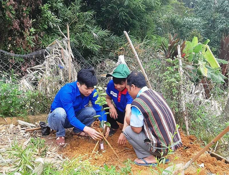 Đoàn viên, thanh niên Trường Cao đẳng KT-KT Quảng Nam hướng dẫn kỹ thuật trồng cây ăn quả cho người dân vùng cao.