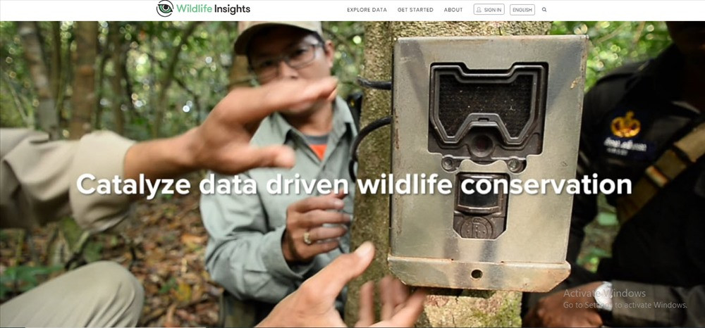 Giao diện của Widlife Insight tại địa chỉ https://www.wildlifeinsights.org/