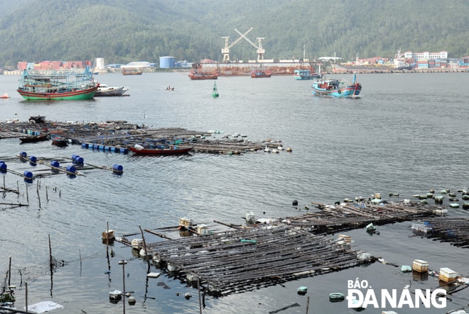 Đến nay, phần lớn chòi canh tại vịnh Mân Quang đã được người dân tháo dỡ.
