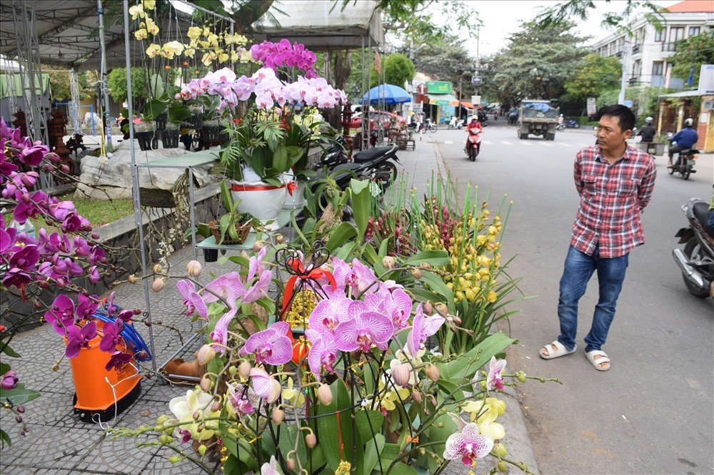 Một điểm bày bán hoa lan tại TP.Hội An cũng thu hút nhiều người đến xem và mua hoa. Ảnh: THANH THẮNG