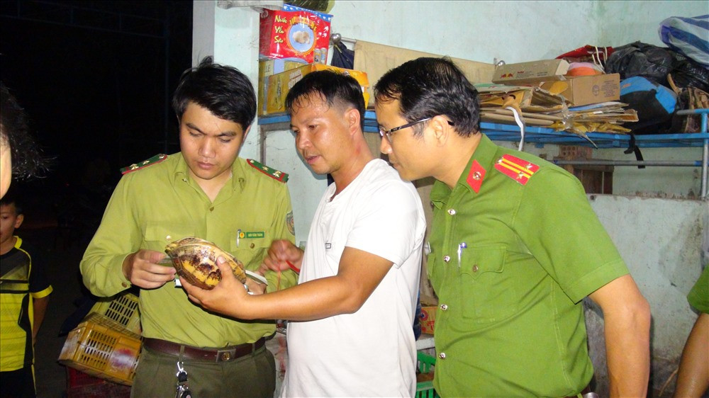 Phòng Cảnh sát phòng chống tội phạm về môi trường Công an tỉnh Quảng Nam phối hợp bắt vụ nuôi nhốt động vật hoang dã. Ảnh: HOÀNG VŨ