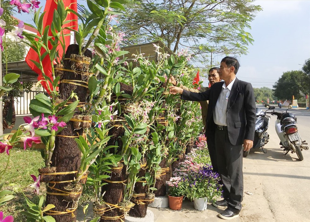 Hoa lan của anh Bùi Đoàn Hải bày bán tại chợ hoa xuân huyện Phú Ninh. Ảnh: H.C