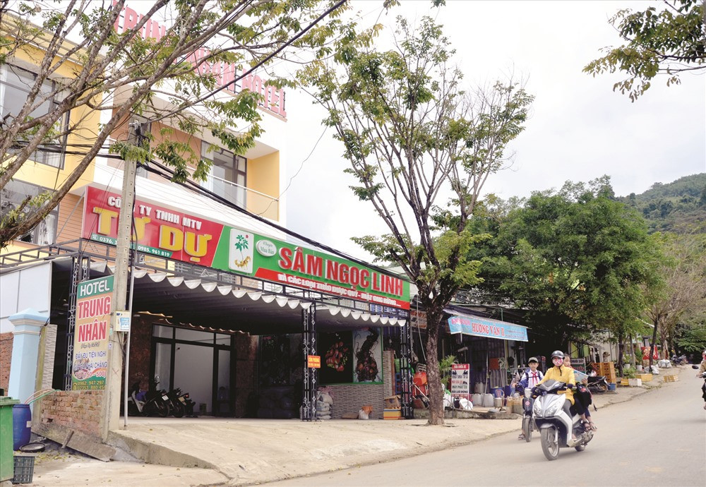 Trung tâm xã Trà Mai đang xây dựng thương hiệu phố sâm.Ảnh: T.H.P