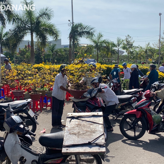 ...nhưng mãi mới có một chậu hoa được chọn mua để chở đi. Ảnh: MAI QUẾ