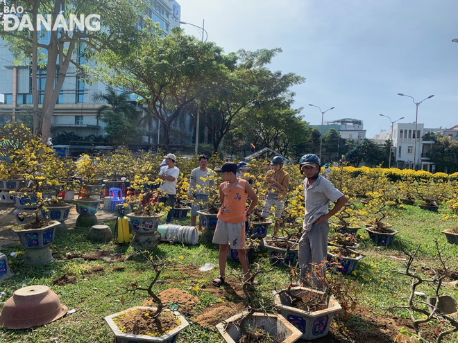 Người bán hoa chỉ mong bán được chừng nào hay chừng nấy. Ảnh: MAI QUẾ