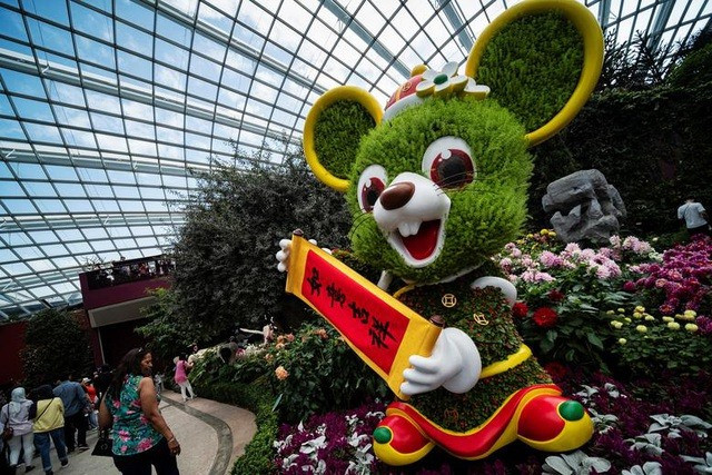 Hình con Chuột khổng lồ được làm từ cây và hoa tại Singapore mừng Năm mới 2020. Ảnh: Reuters