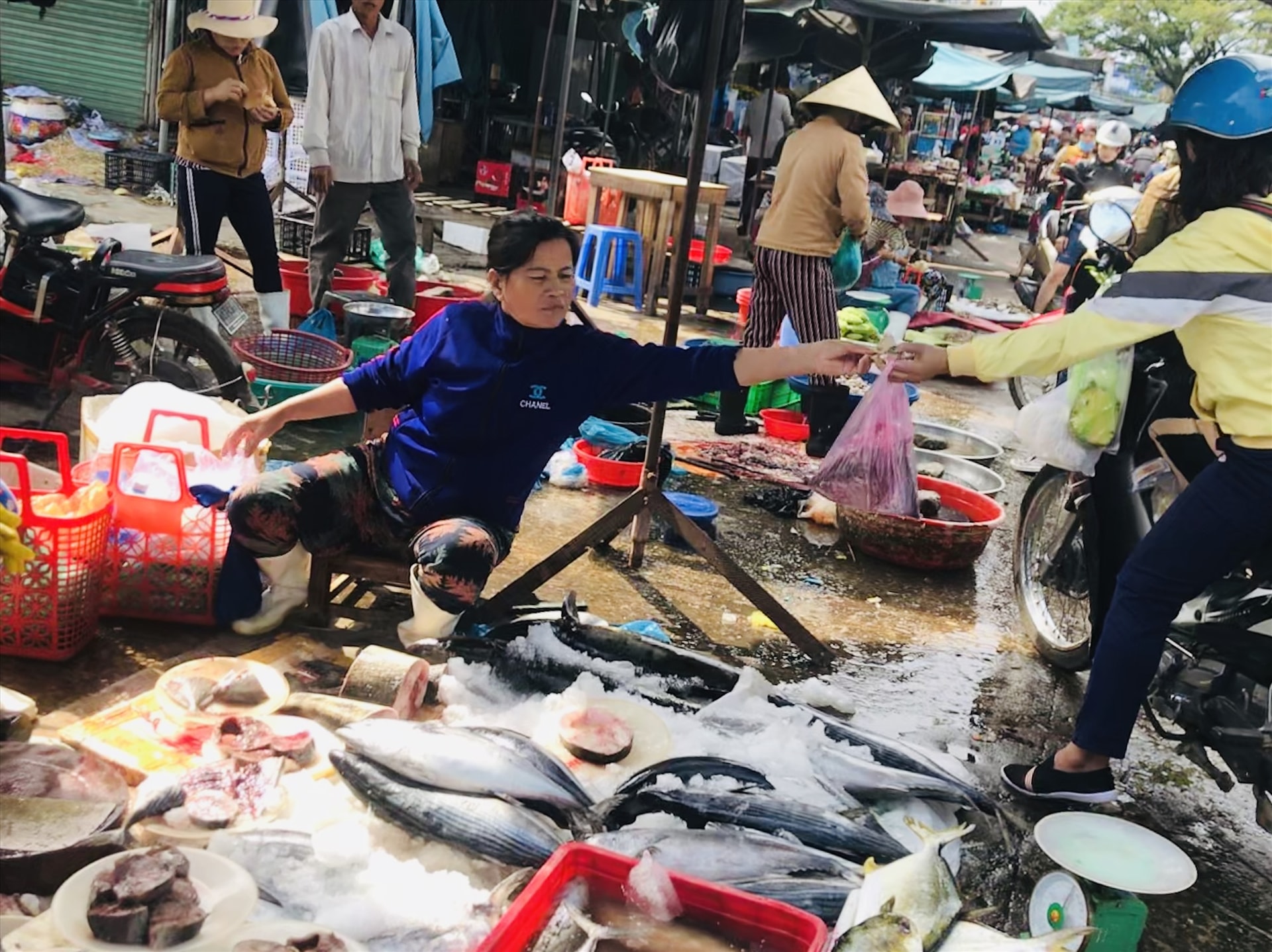 Giá các loại cá biển vẫn giữ ổn định trong phiên chợ đầu năm. Ảnh: C.N