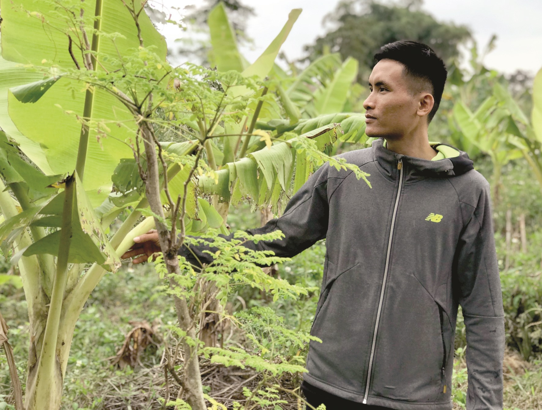 Nguyễn Đăng Nhật - chàng kỹ sư làm vườn rừng. Ảnh: HIỀN TUẤN