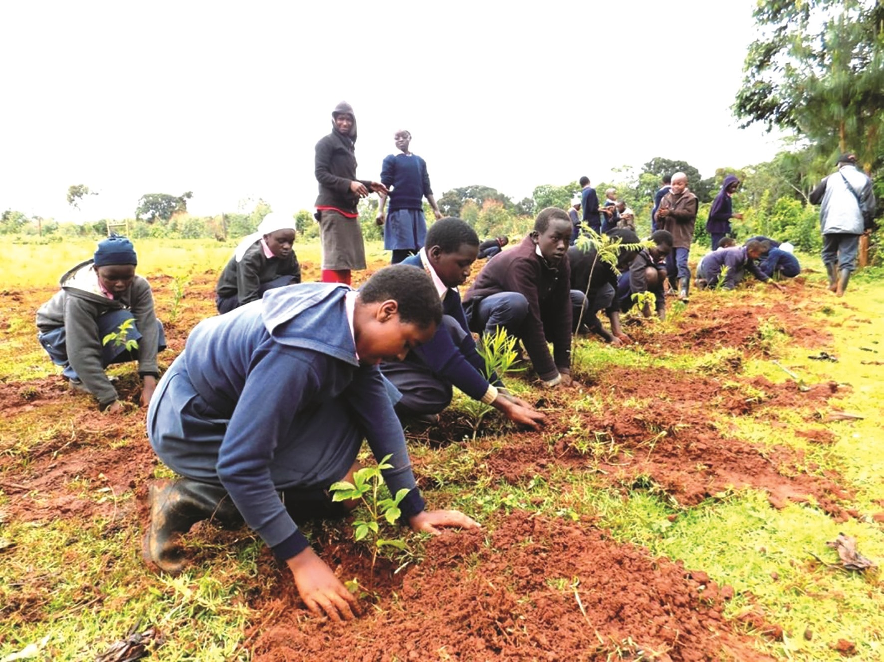 Học sinh châu Phi hưởng ứng chiến dịch góp xanh cho hành tinh. Ảnh: internationaltreefoundation.jpg