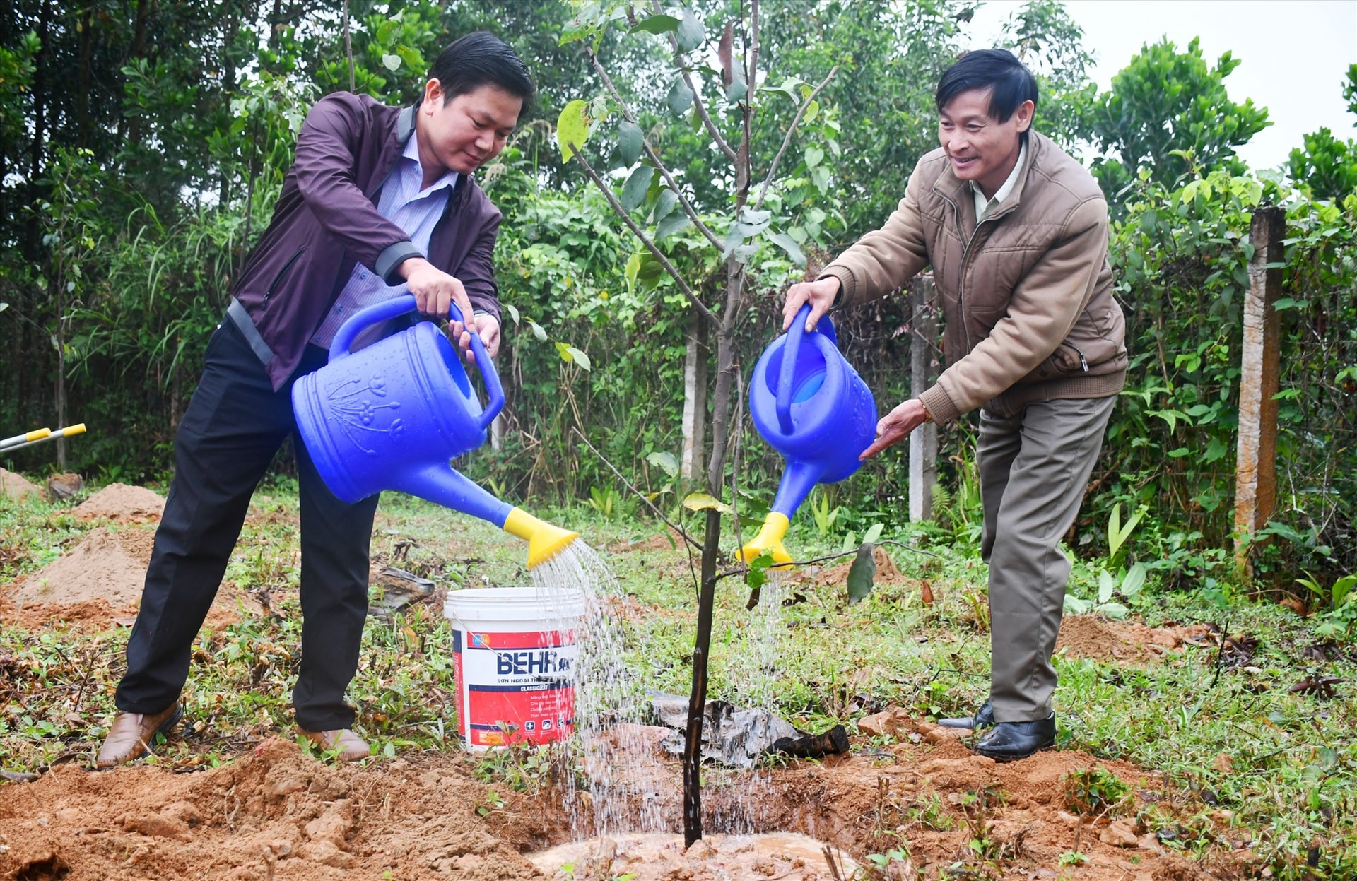 Bắc Trà My phát động Tết Trồng cây đầu xuân