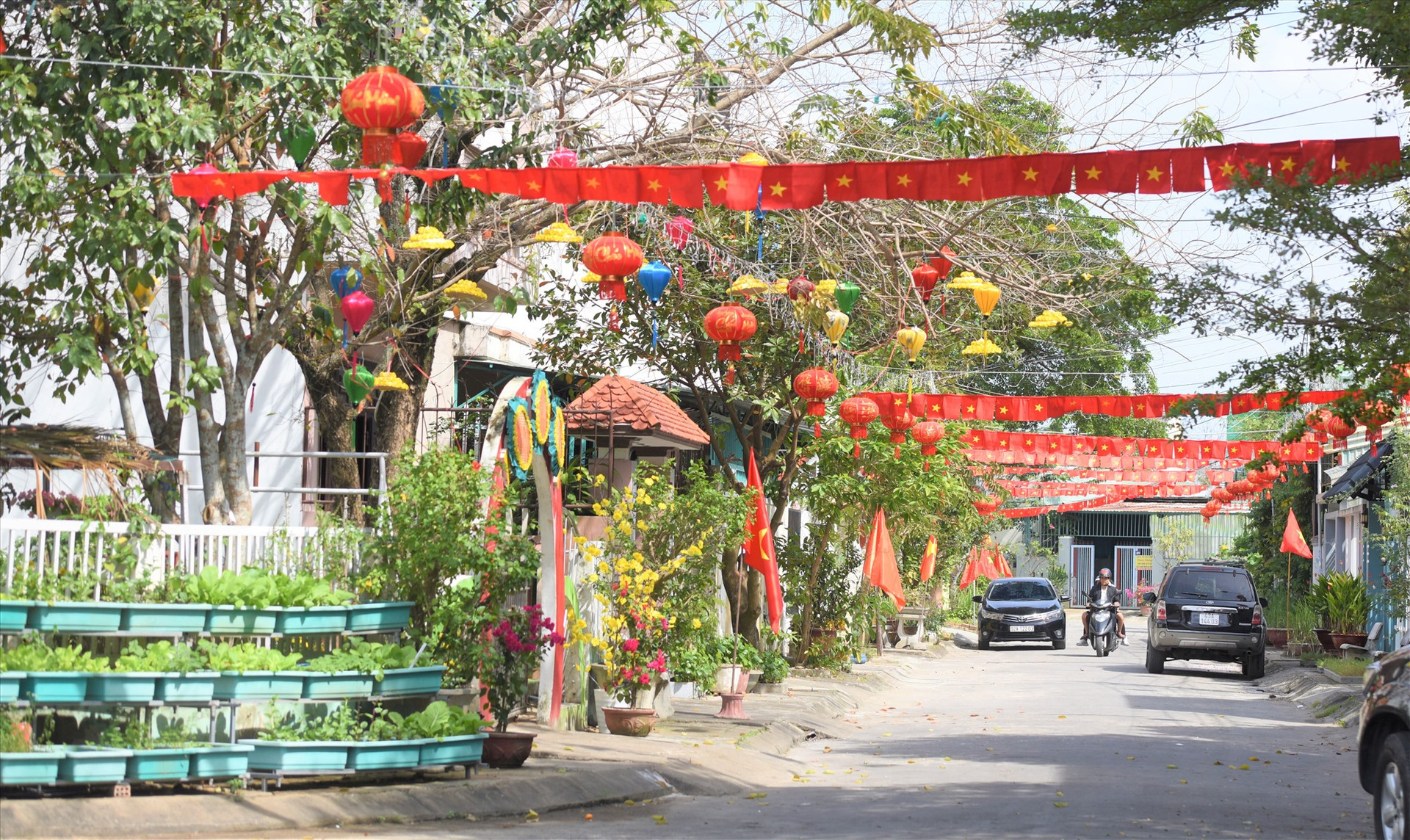 Tuyến phố Lê Trung Đình ở thành phố Tam Kỳ rợp cờ hoa.